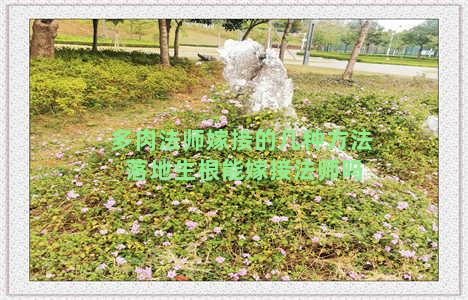 多肉法师嫁接的几种方法 落地生根能嫁接法师吗